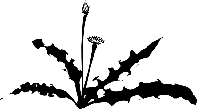 Apotheken-A